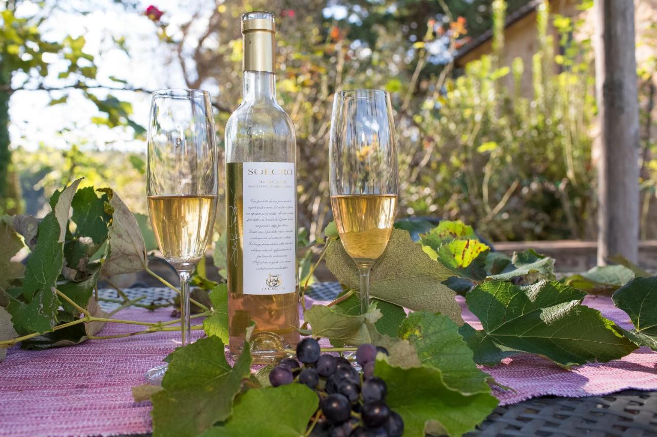 Podere La Casetta - Casa Di Campagna Montaione Luaran gambar