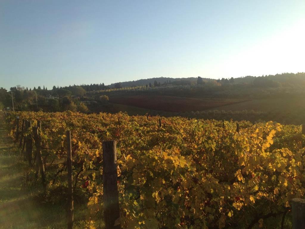 Podere La Casetta - Casa Di Campagna Montaione Luaran gambar