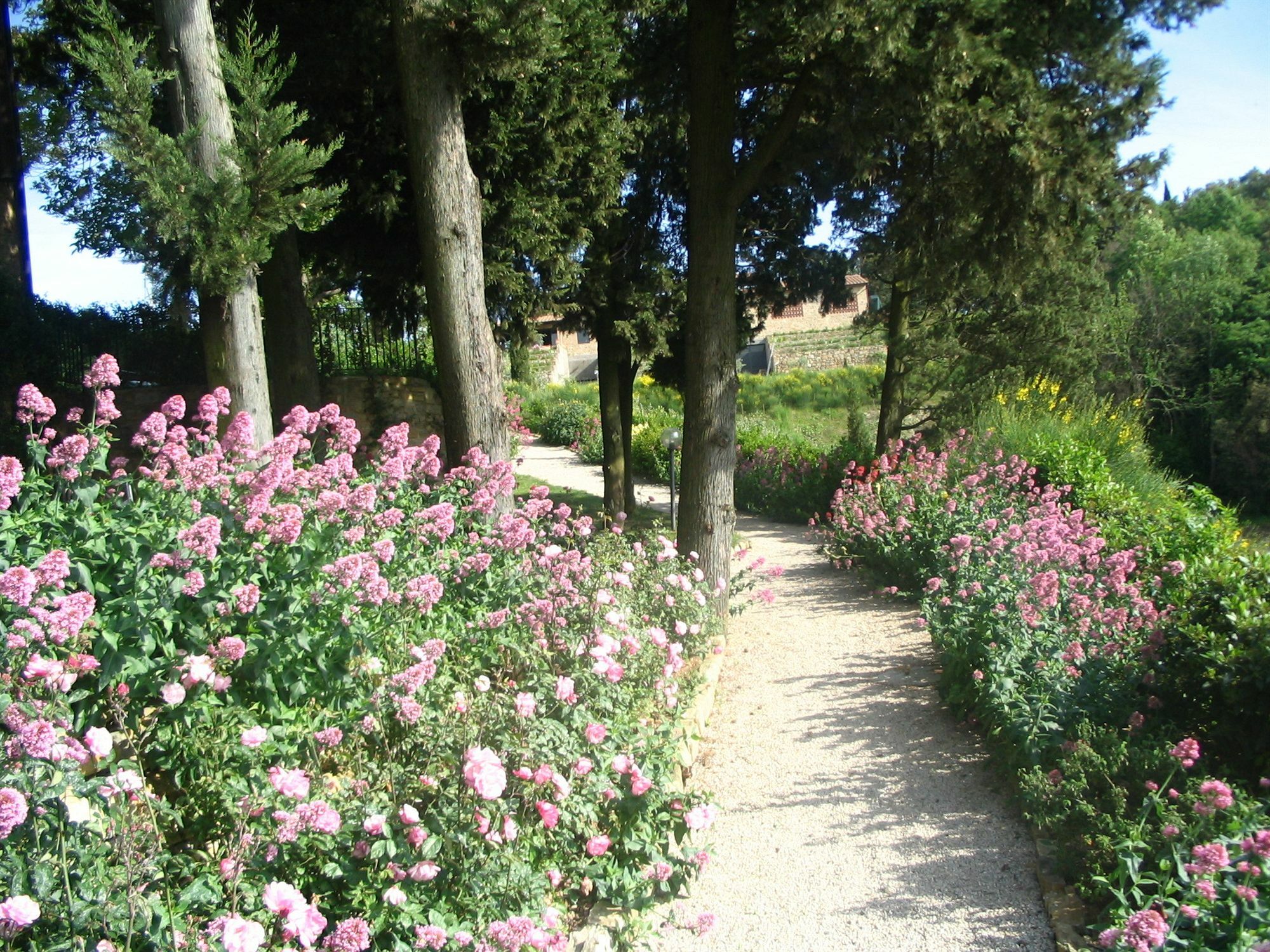 Podere La Casetta - Casa Di Campagna Montaione Luaran gambar